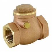 Ips Spring Check Valve 11/2"